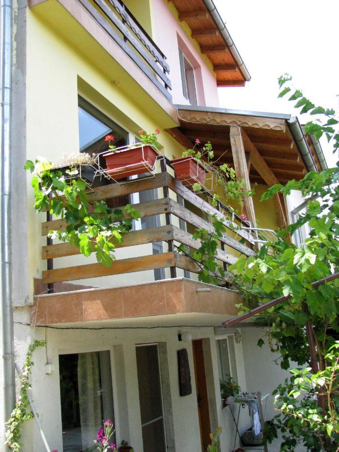 Guest House Familia Samovodene Exterior foto
